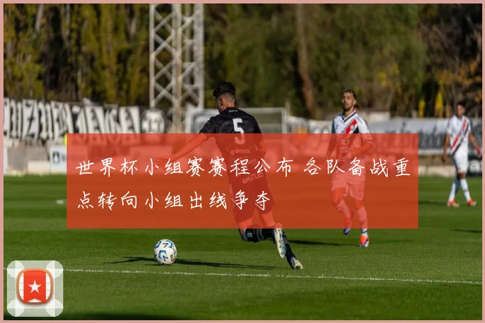世界杯小组赛赛程公布 各队备战重点转向小组出线争夺