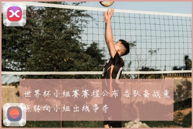 世界杯小组赛赛程公布 各队备战重点转向小组出线争夺