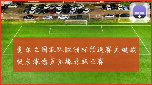 爱尔兰国家队欧洲杯预选赛关键战役点球憾负无缘晋级正赛
