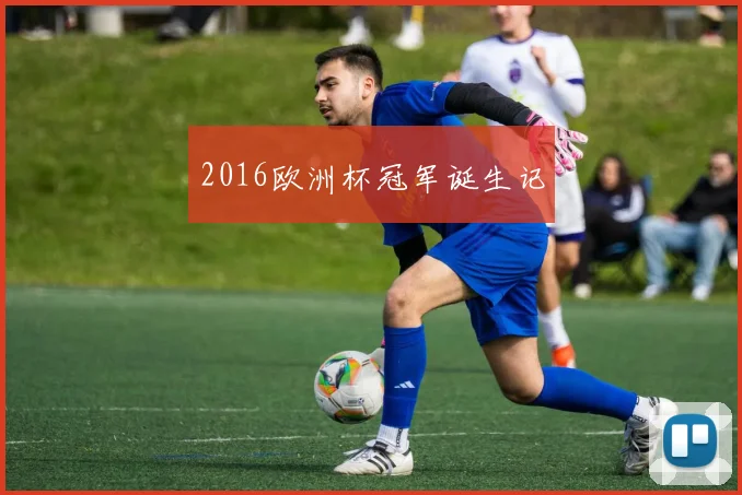 2016欧洲杯冠军诞生记