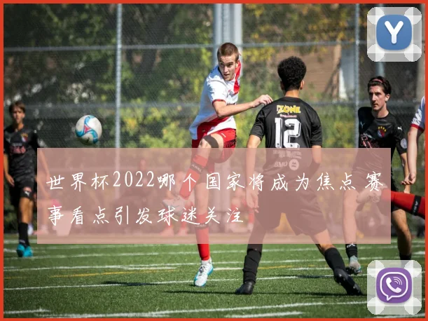 世界杯2022哪个国家将成为焦点 赛事看点引发球迷关注