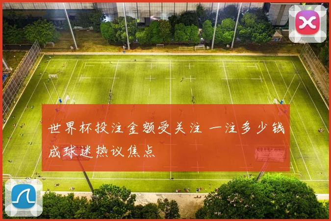 世界杯投注金额受关注 一注多少钱成球迷热议焦点