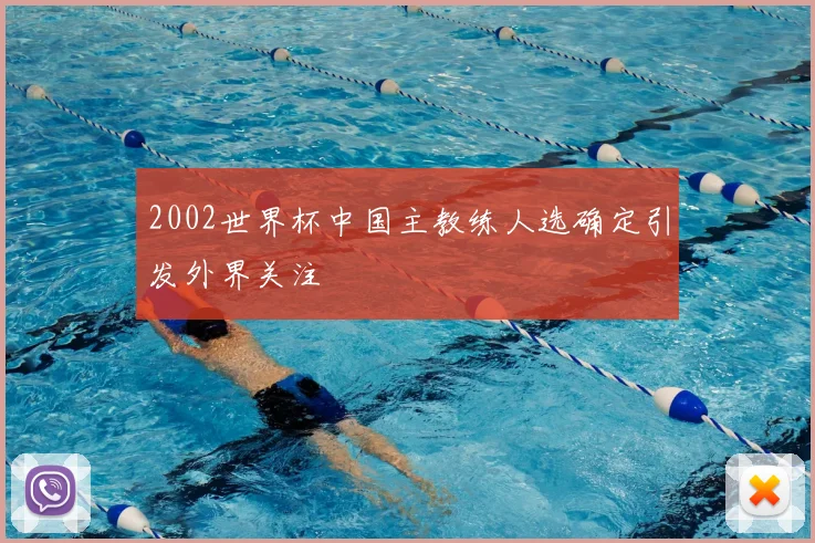 2002世界杯中国主教练人选确定引发外界关注