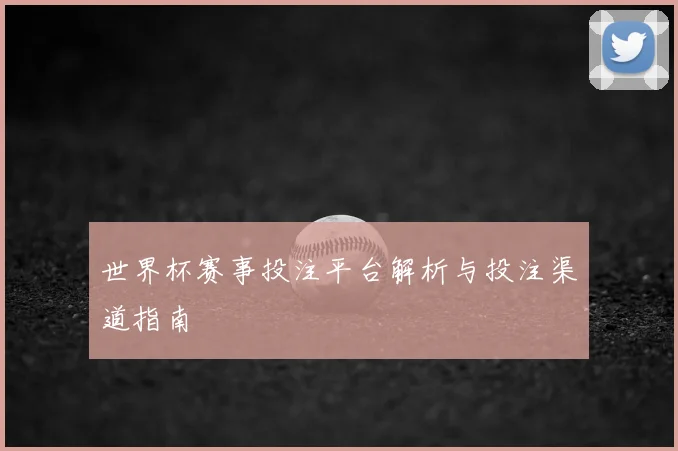 世界杯赛事投注平台解析与投注渠道指南