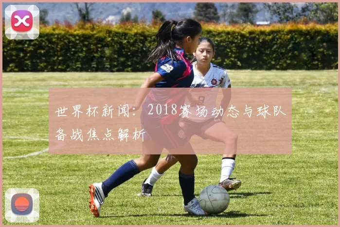 世界杯新闻：2018赛场动态与球队备战焦点解析