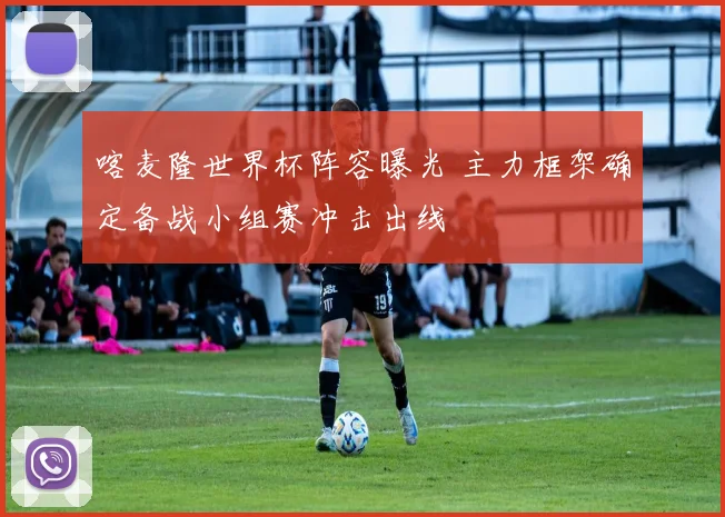 喀麦隆世界杯阵容曝光 主力框架确定备战小组赛冲击出线
