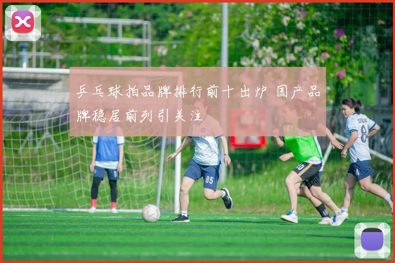 乒乓球拍品牌排行前十出炉 国产品牌稳居前列引关注