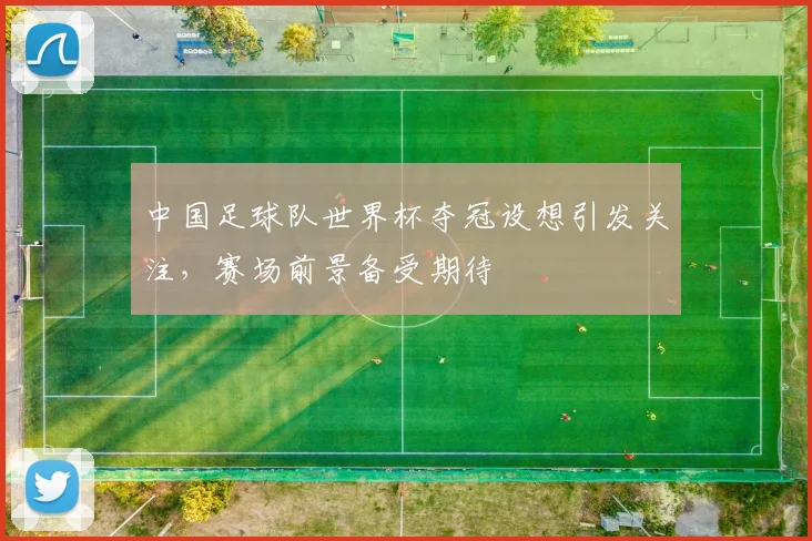 中国足球队世界杯夺冠设想引发关注,赛场前景备受期待
