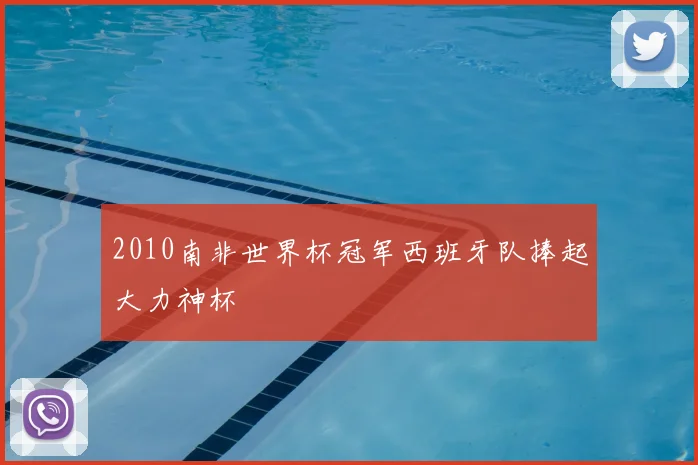2010南非世界杯冠军西班牙队捧起大力神杯