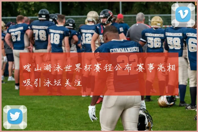 喀山游泳世界杯赛程公布 赛事亮相吸引泳坛关注