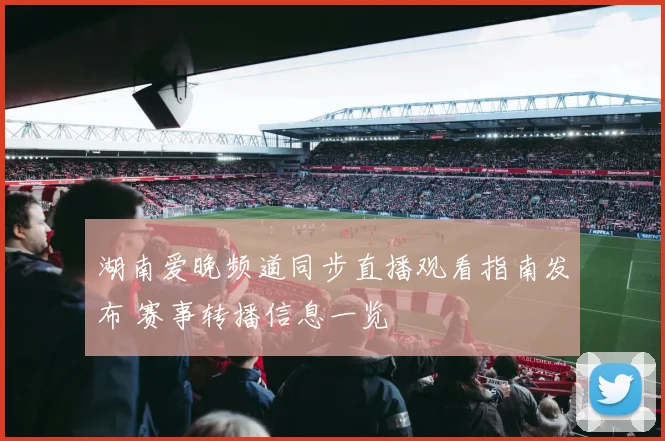 湖南爱晚频道同步直播观看指南发布 赛事转播信息一览
